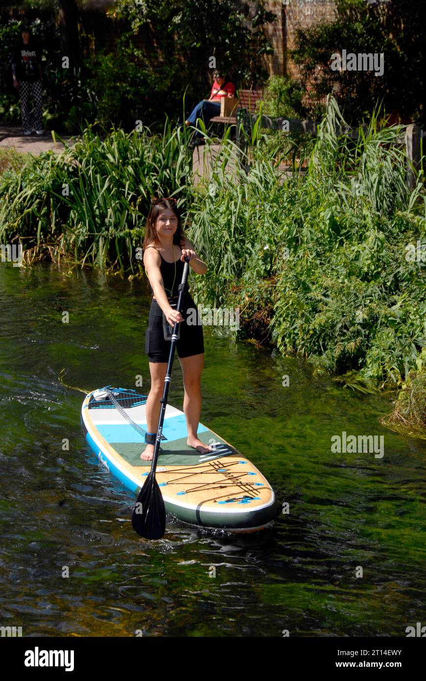 Young woman on stand-up paddleboard on the river Great Stour, Canterbury, Kent Stock Photo