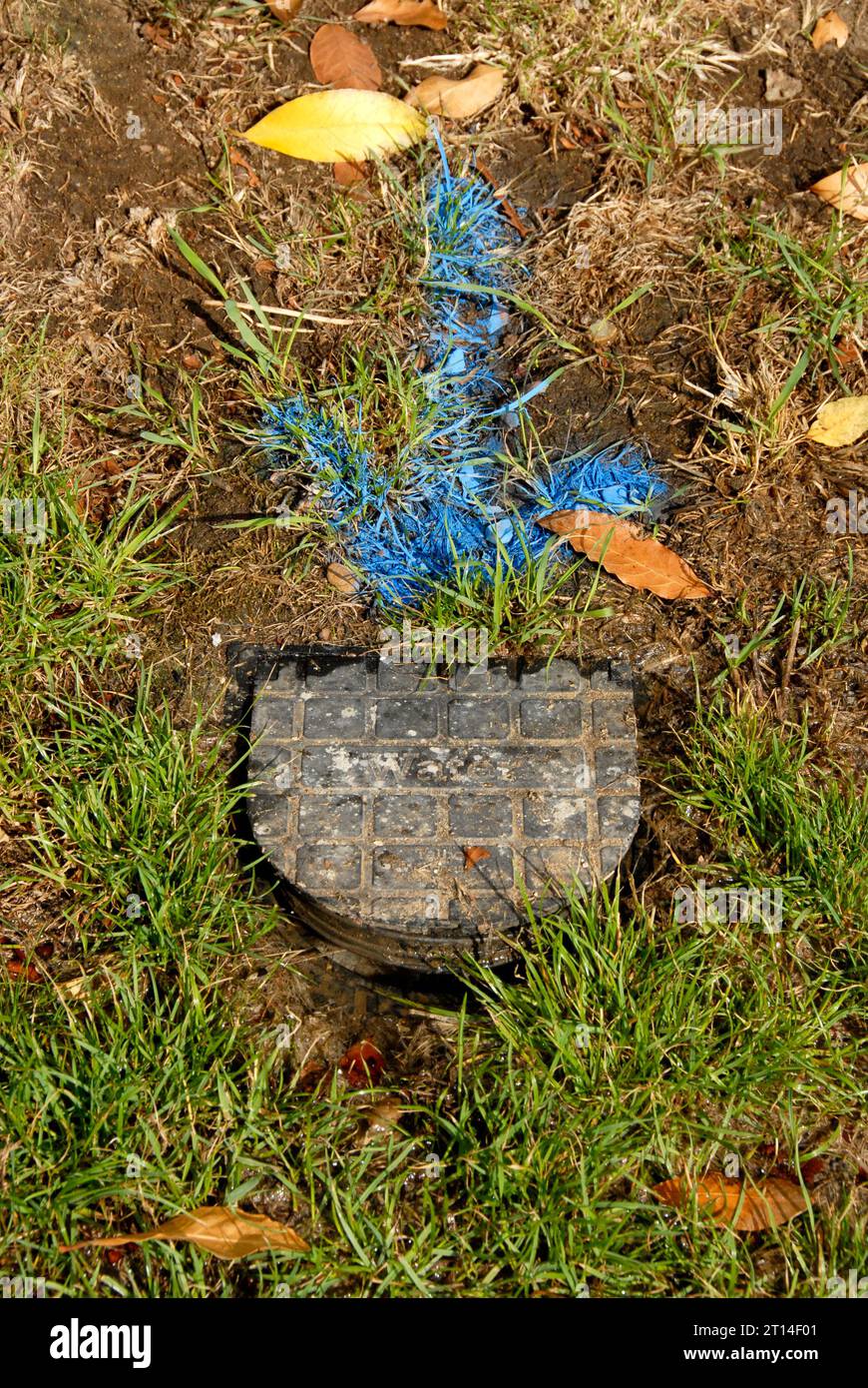 Bold blue arrow painted on grass pointing to leaking water meter that needs replacing, after survey and before repairs start Stock Photo