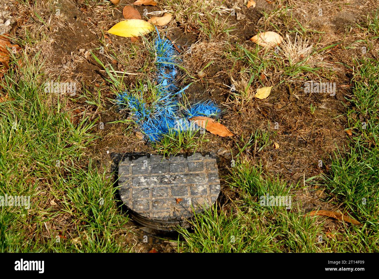 Bold blue arrow painted on grass pointing to leaking water meter that needs replacing, after survey and before repairs start Stock Photo