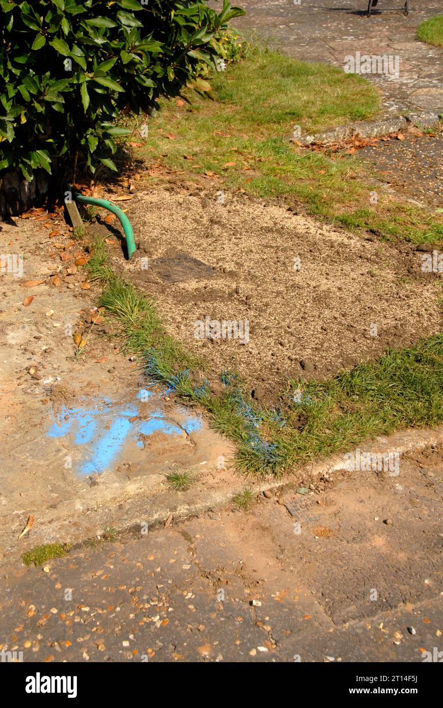 Grass area reseeded after replacing leaking water meter for domestic property Stock Photo
