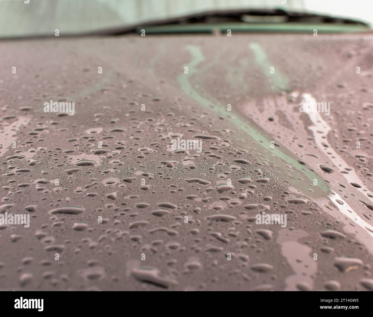 Condensation on the bonnet of a dark colour car with a windscreen wiper out of focus in the background. Stock Photo