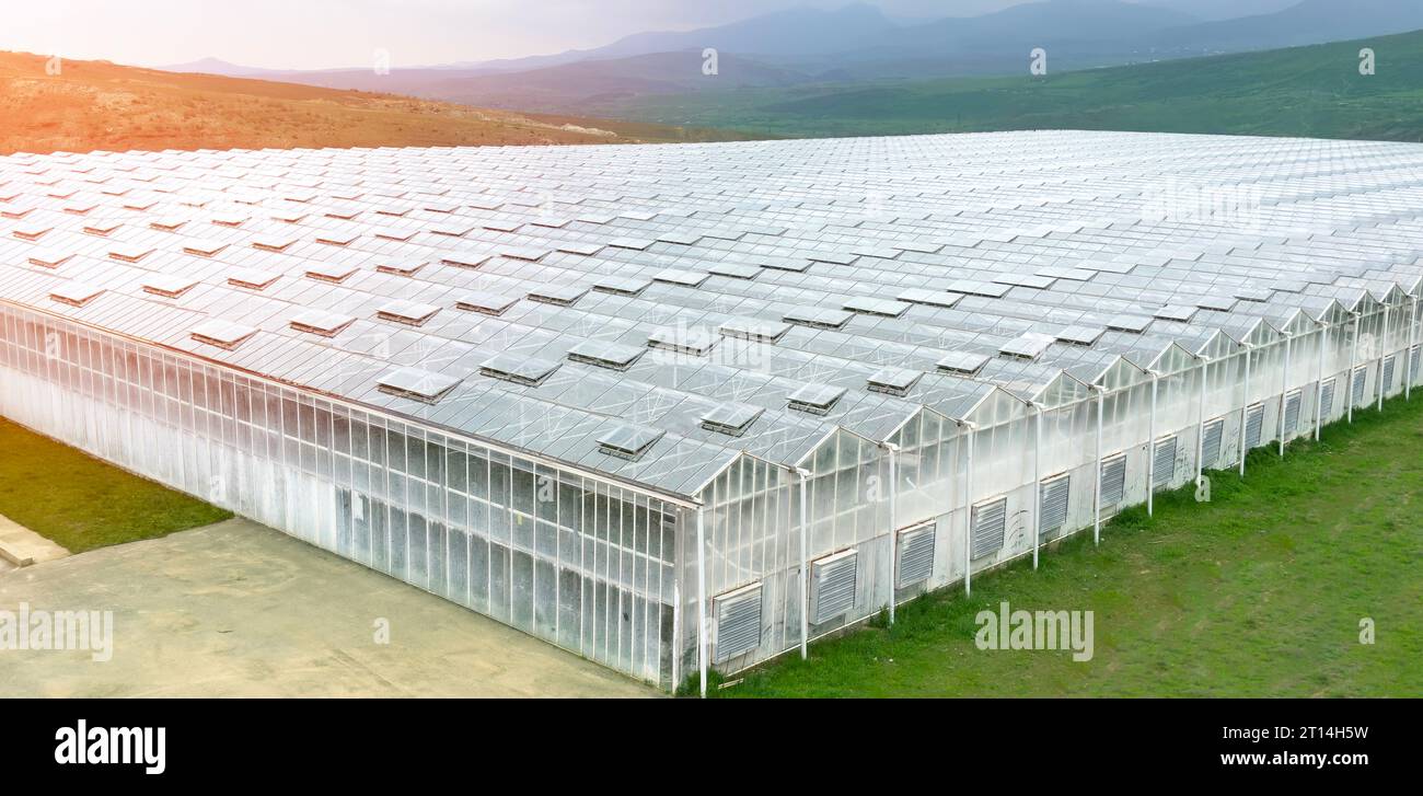 Aerial view industrial agricultural greenhouses for growing. Greenhouse ...