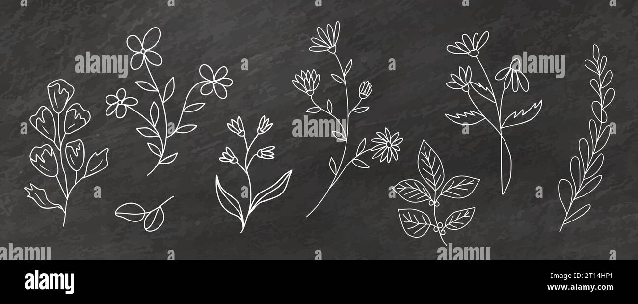 Set of wild flowers and plants white on chalkboard Stock Vector Image ...