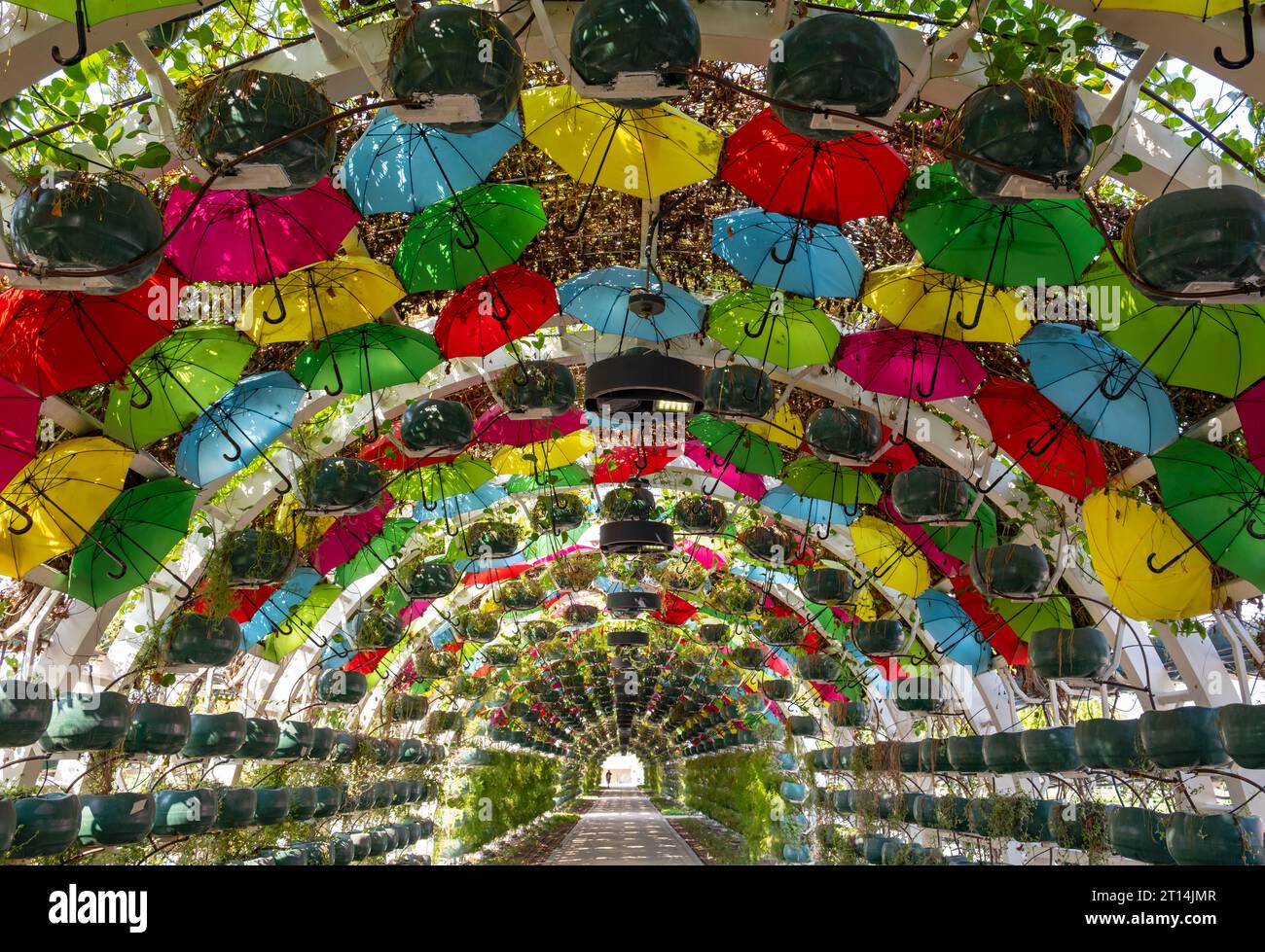 Umbrella Park arch, Doha, Qatar Stock Photo Alamy