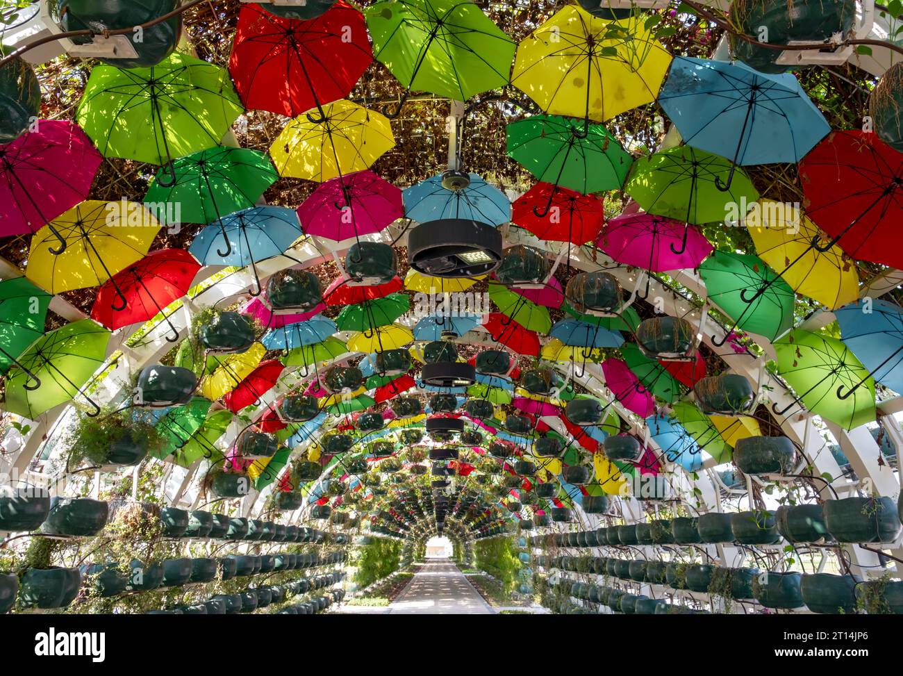 Umbrella Park arch, Doha, Qatar Stock Photo Alamy