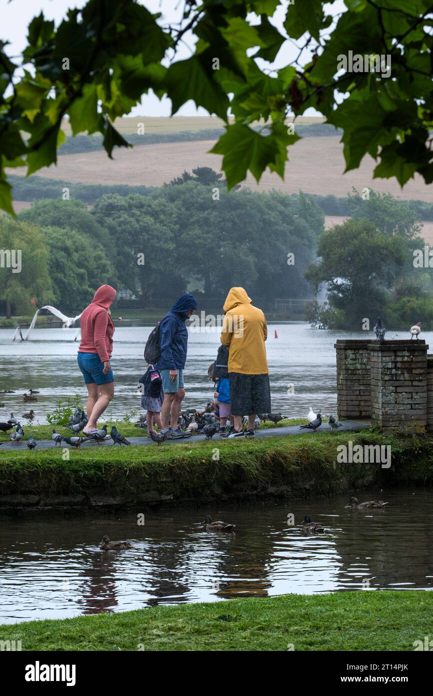 People feeding pigeons in the rainy weather at Trenance Boating Lake in Newquay in Cornwall in the UK. Stock Photo