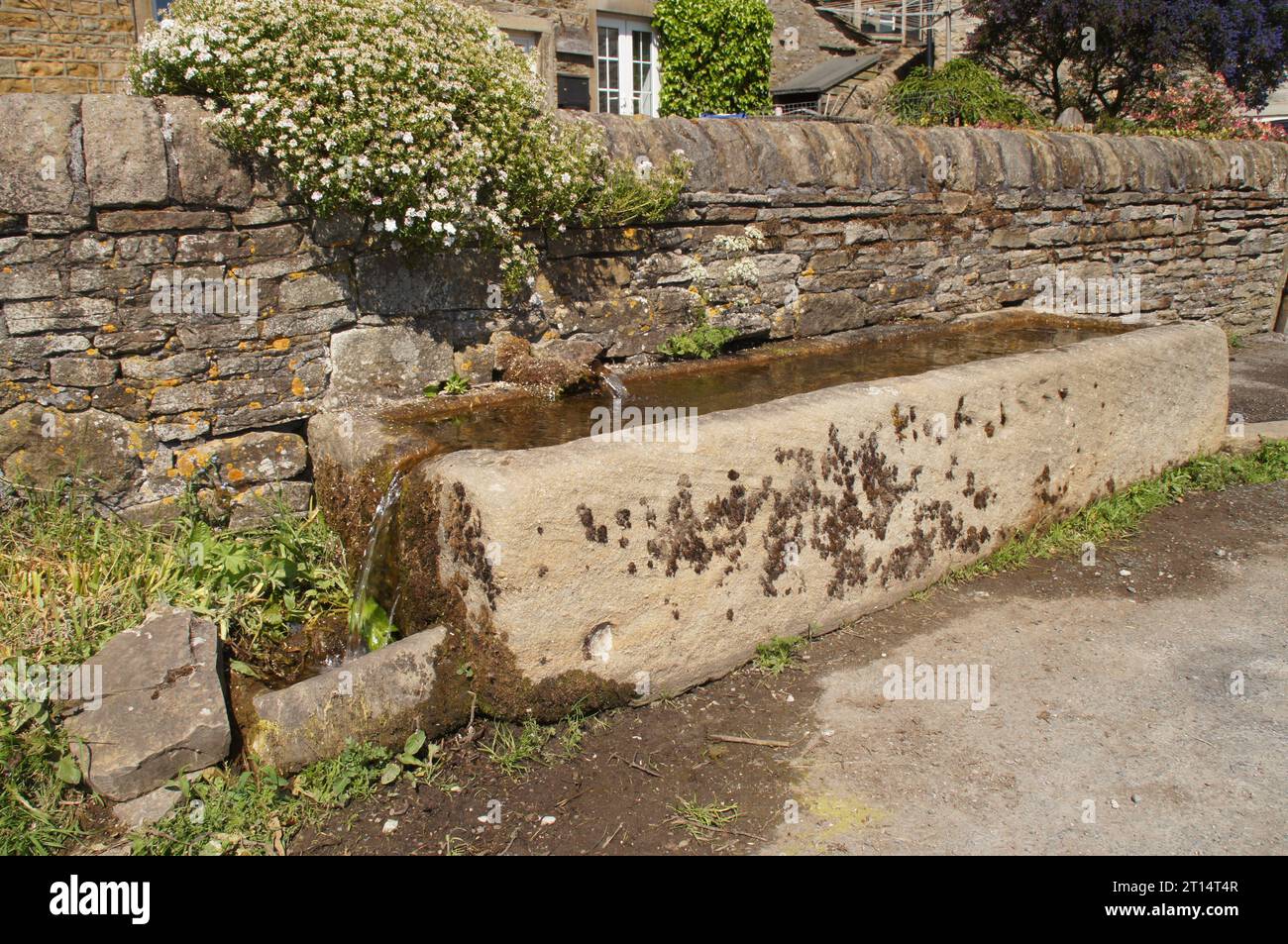 Historic Animal Trough at the Fold in the village of Lothersdale, North Yorkshire, England UK Stock Photo