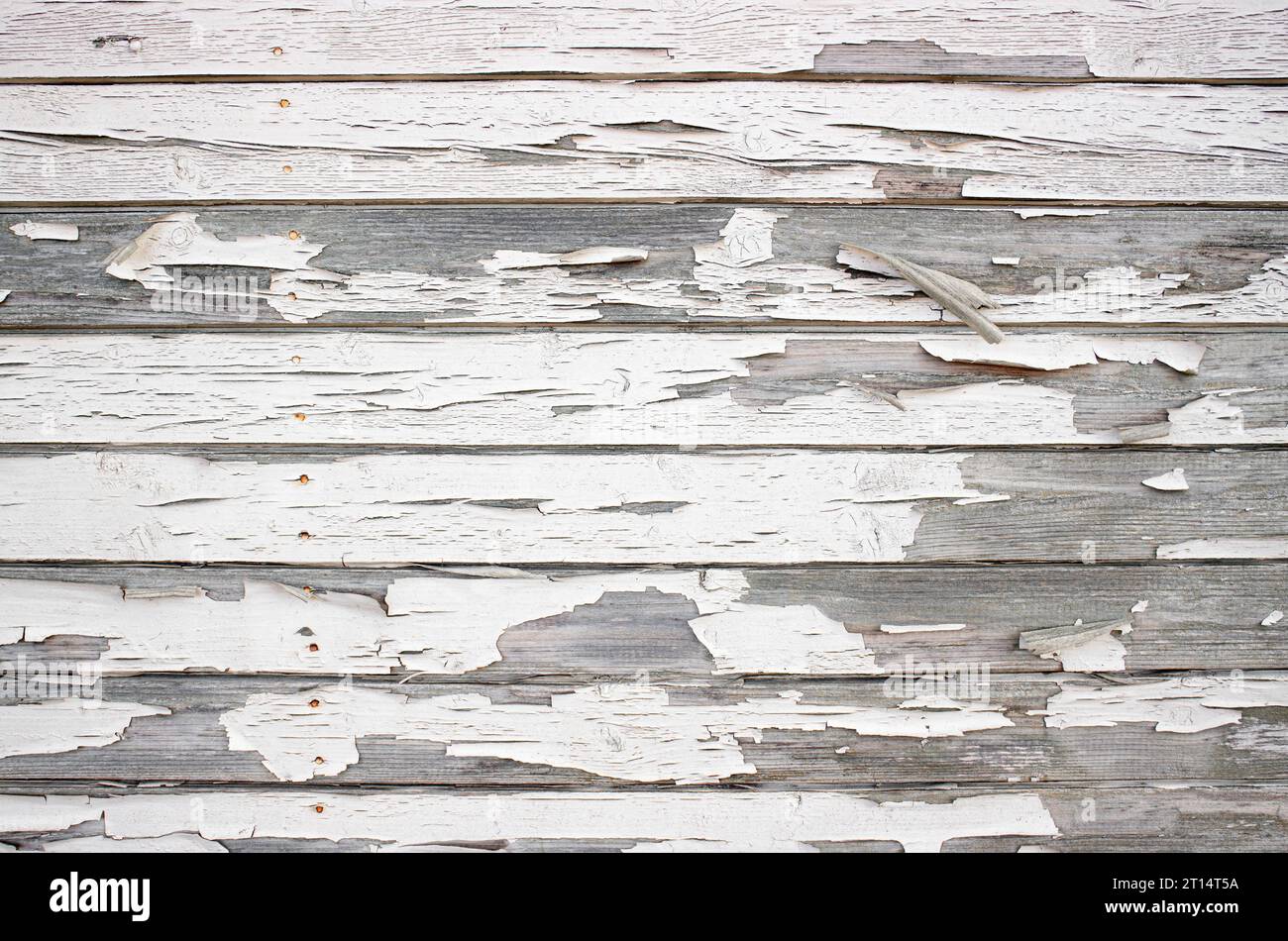 Rough crackled paint on wooden boards, white color paint peeling off, horizontal wood boards. Stock Photo