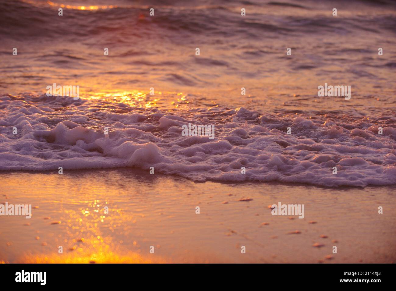Closeup sea surface sunset hi-res stock photography and images - Alamy