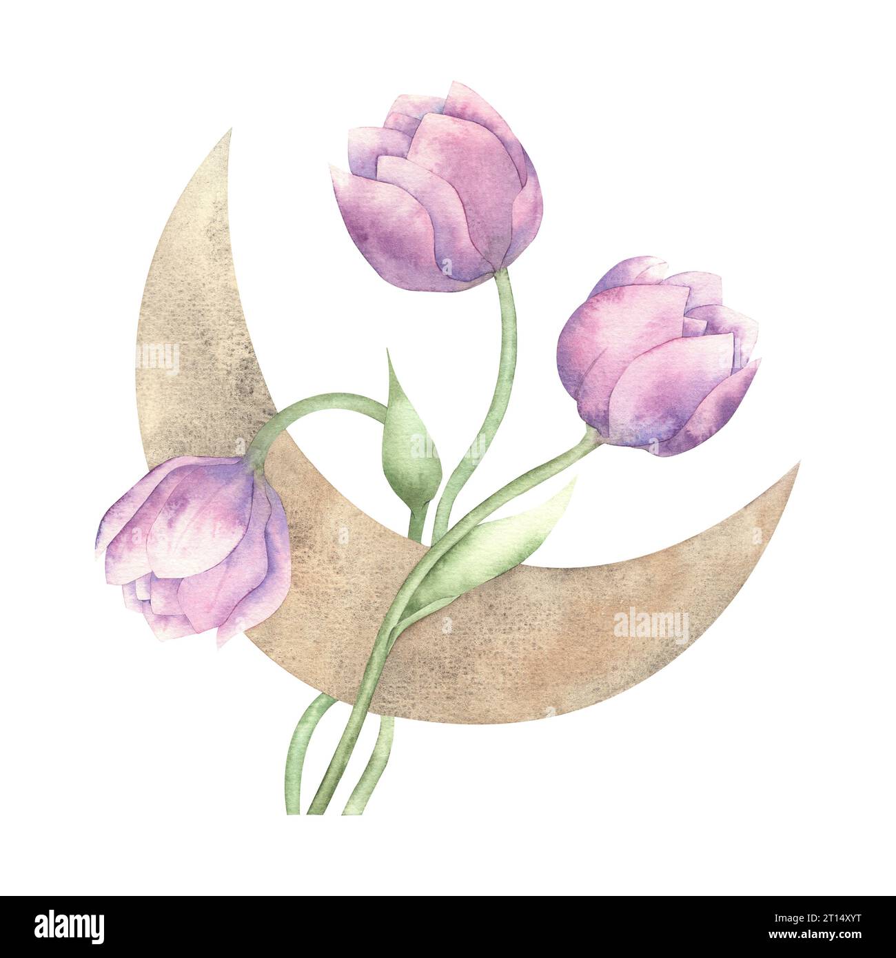 Watercolor cosmic tulips with moon. Hand drawn illustration space flowers on white background. Composition for logo and design. Stock Photo