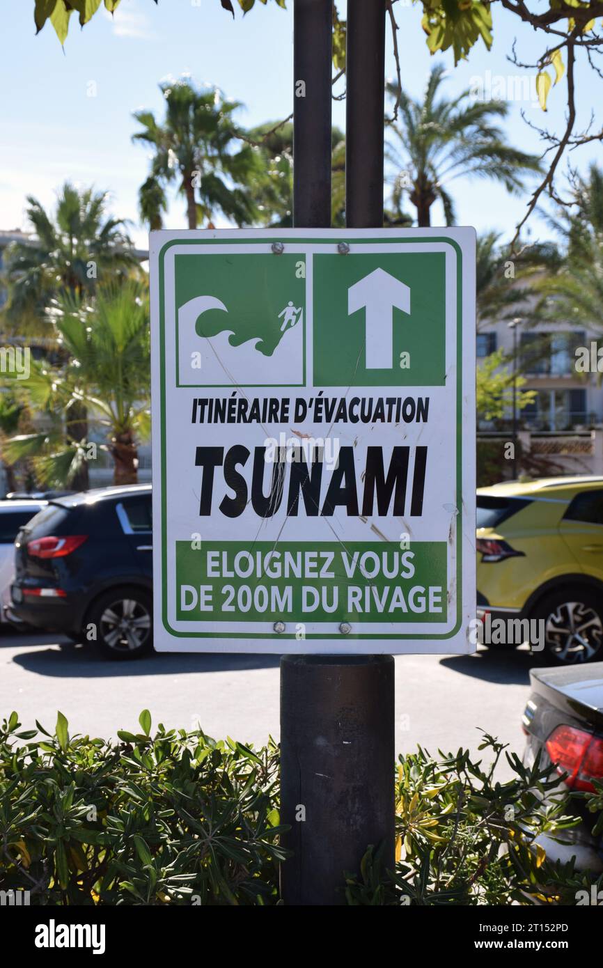 Warning tsunami pd 4 artinya