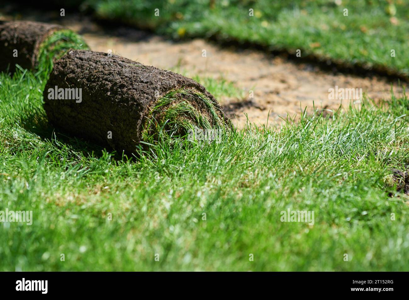 making new green lawn using roll grass Stock Photo