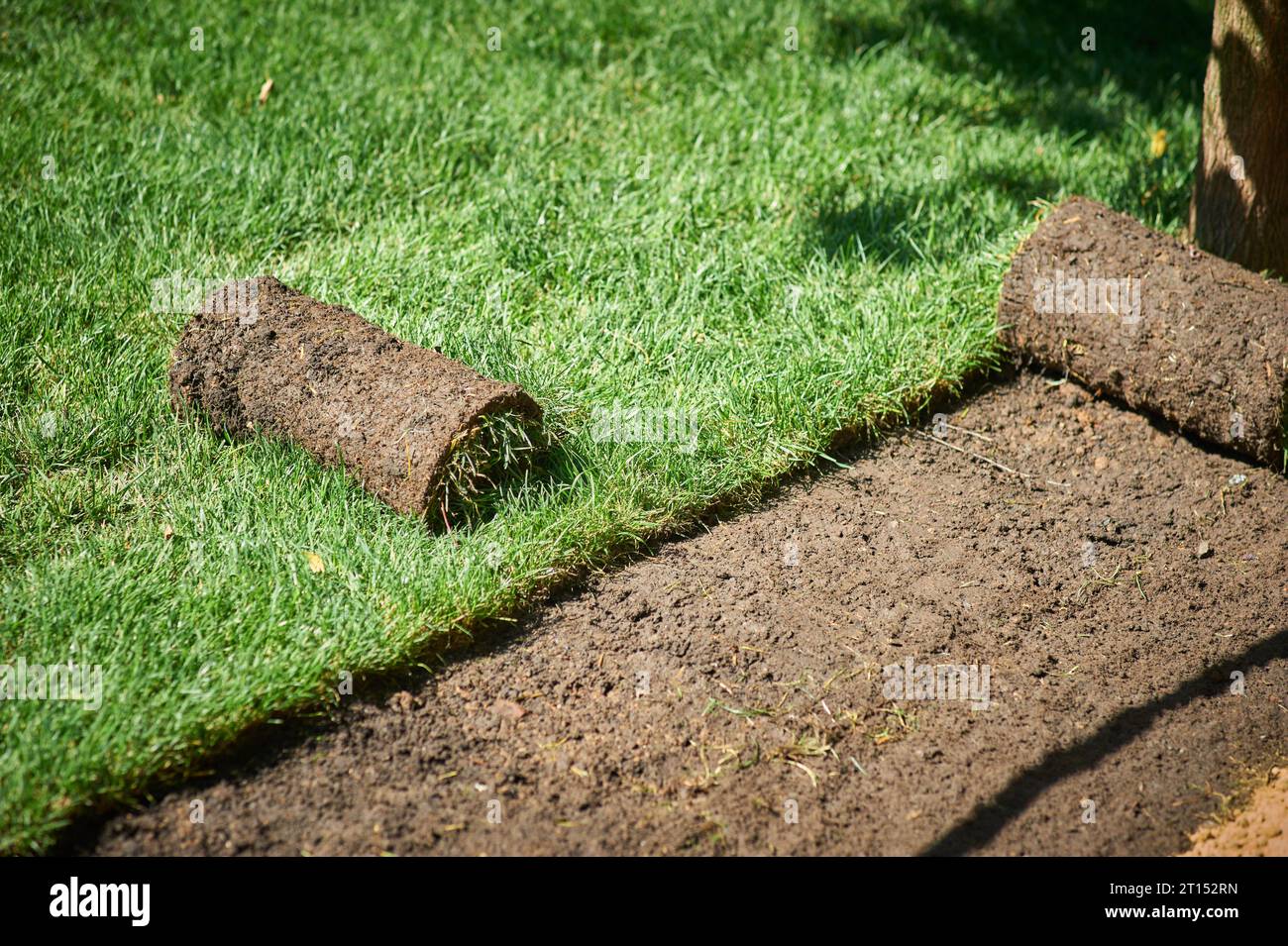 making new green lawn using roll grass Stock Photo