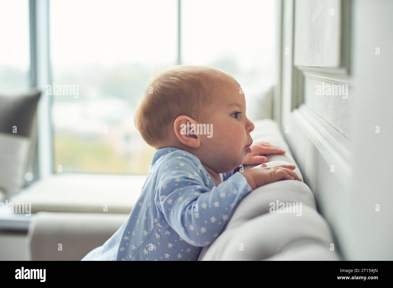 baby boy crawling and climbing on sofa at home Stock Photo Alamy