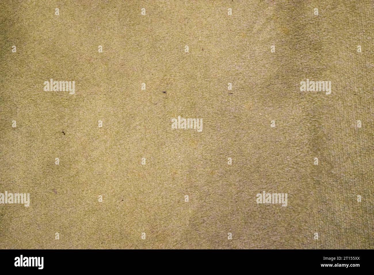 Texture of a beige carpet Stock Photo