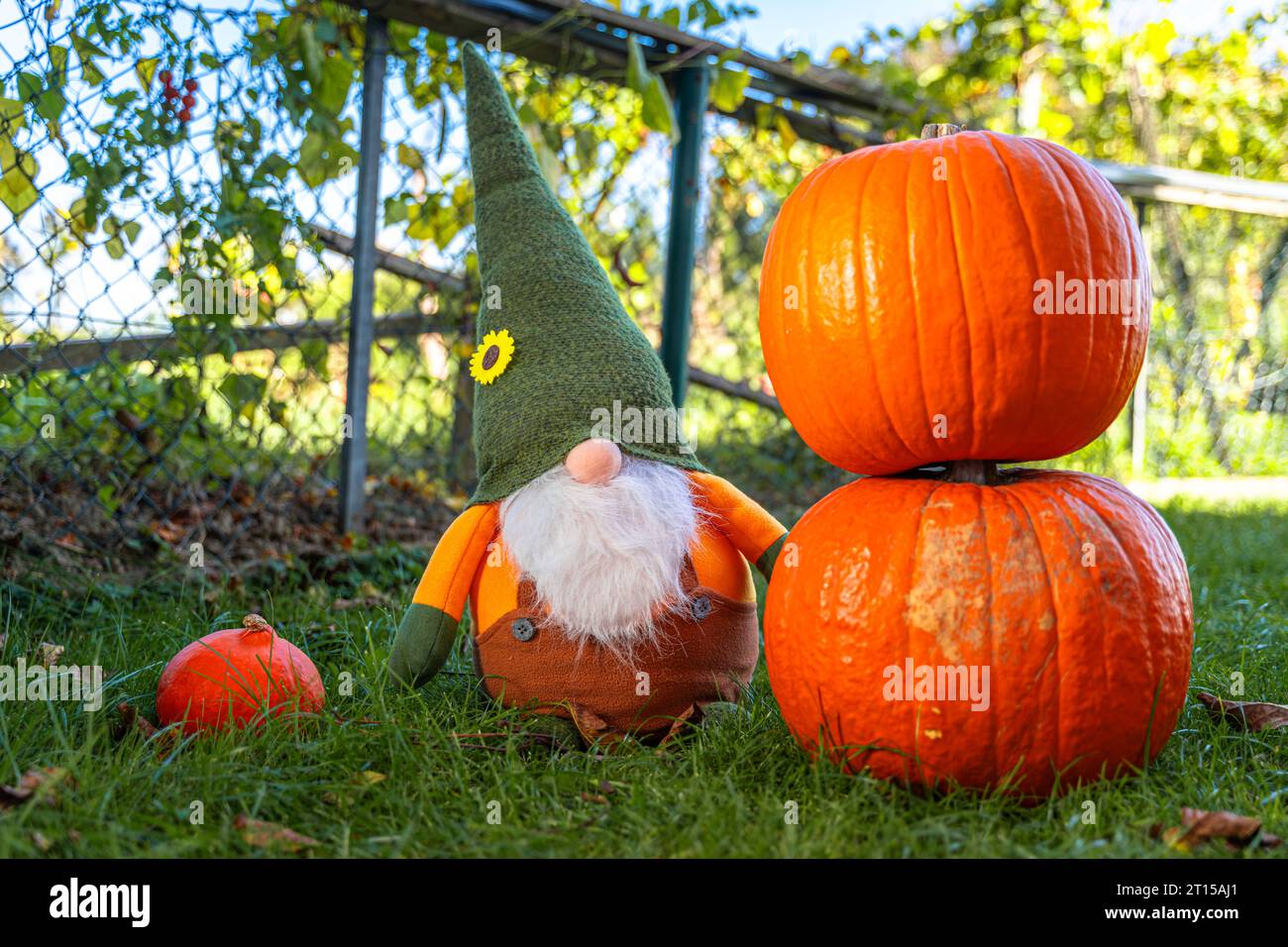 Süße Herbst-Deko: 2 Handgefertigte Stroh-Igel Als Tisch- Oder Regal-Dekoration – Perfekt Für Thanksgiving, Küche Oder Büro!
