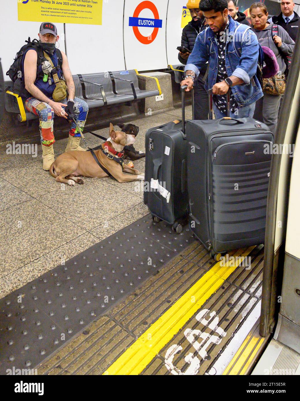 London, UK. Man with two dogs on the platform of Euston underground