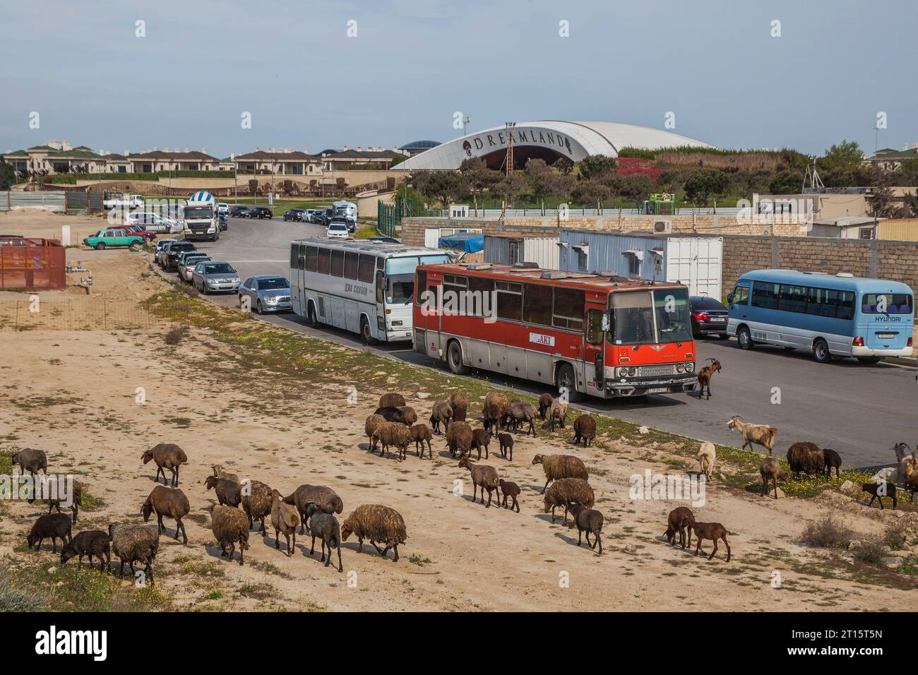26.04.2023. Azerbaijan, Bine. Ikarus 250 staying on parking with his mainly sheep companions after carrying workers to Dreamland. Stock Photo