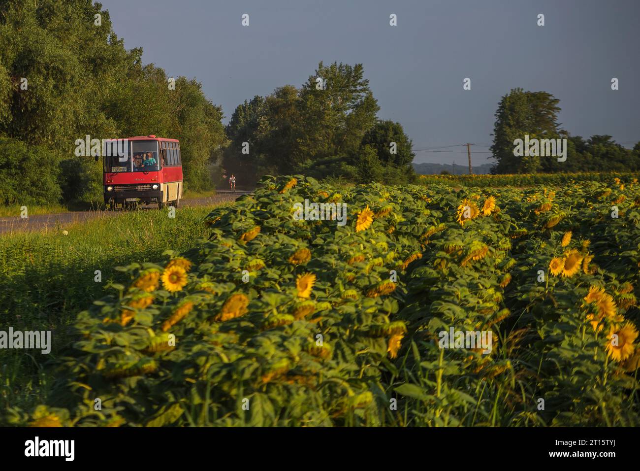 22.07.2020. Hungary, Algyo. Service Ikarus 256 carrying workers to the prison. Stock Photo