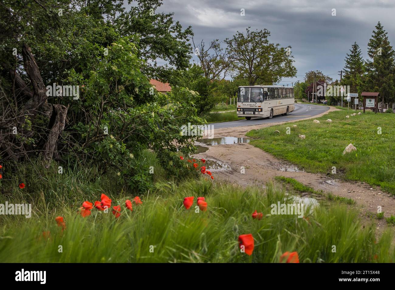 25.05.2021. Hungary, Fertoendred. Ikarus 263 from Kapuvar to Fertoszentmiklos. Stock Photo