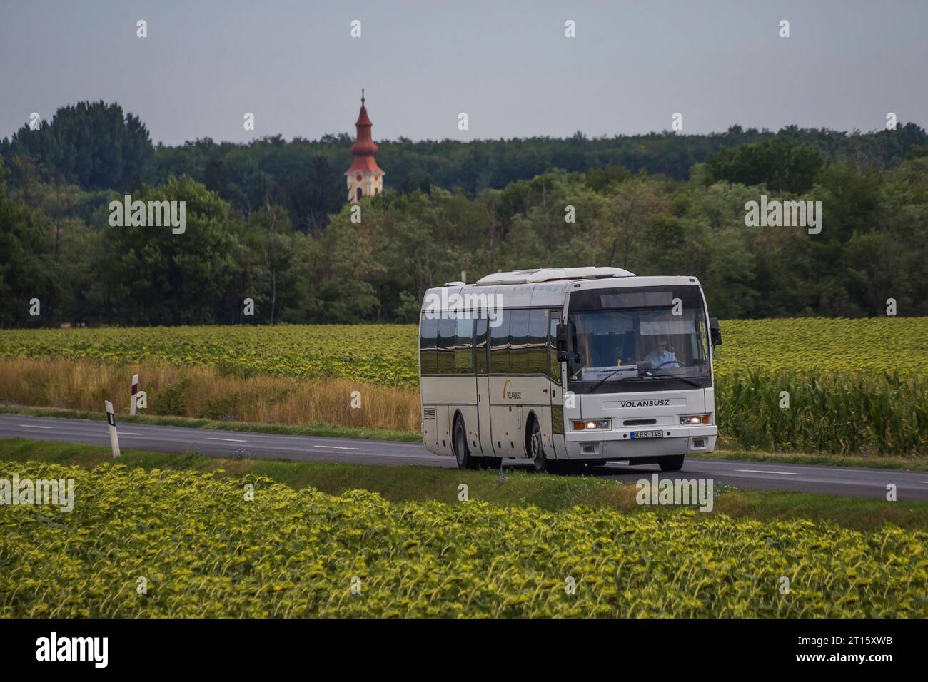 Ikarus 417 hi-res stock photography and images - Alamy