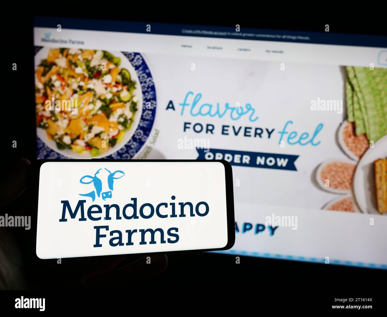 Person holding smartphone with logo of US fast casual restaurant chain Mendocino Farms in front of website. Focus on phone display. Stock Photo