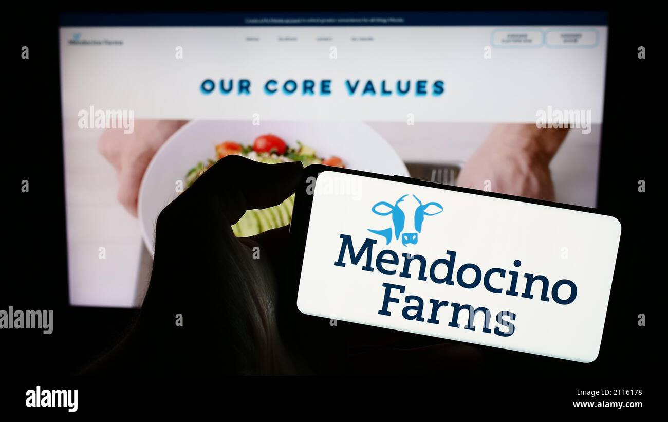 Person holding cellphone with logo of US fast casual restaurant chain Mendocino Farms in front of company webpage. Focus on phone display. Stock Photo