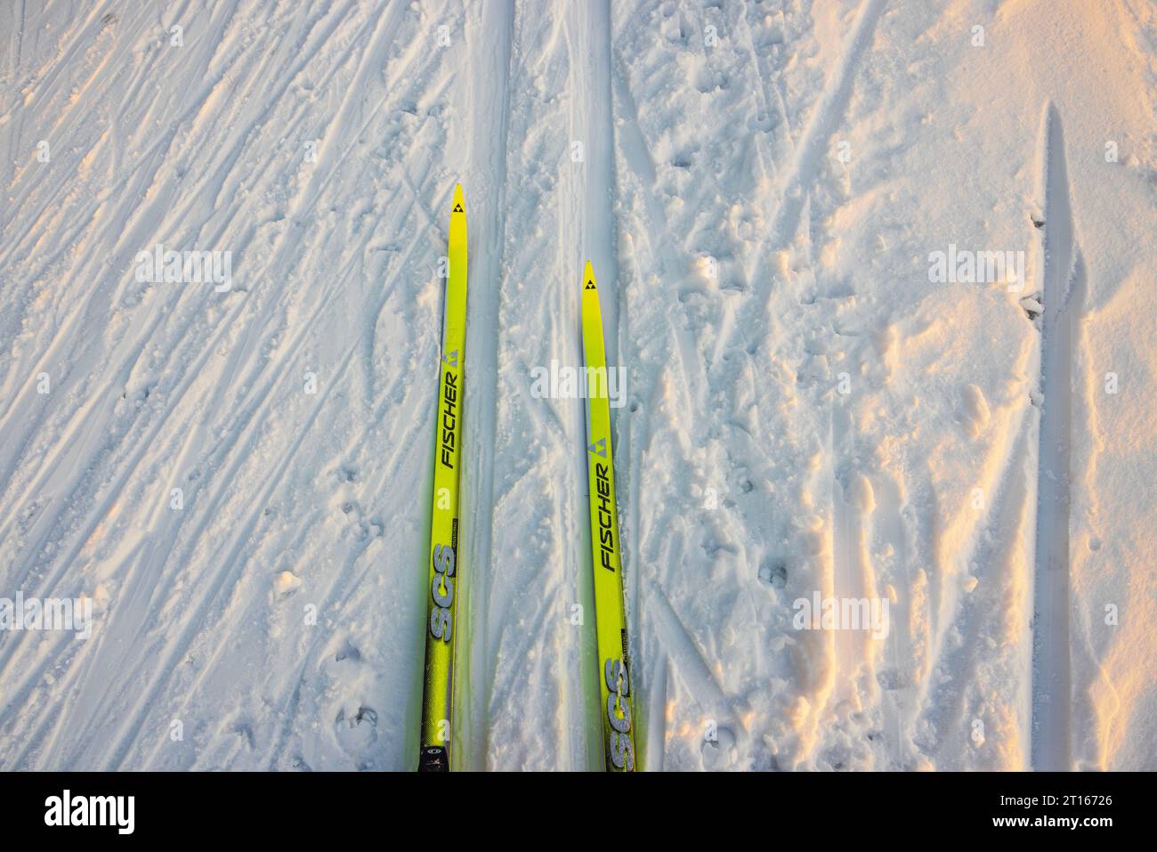 Close-up view of yellow Fischer cross-country classic plastic skis on ski track. Stock Photo