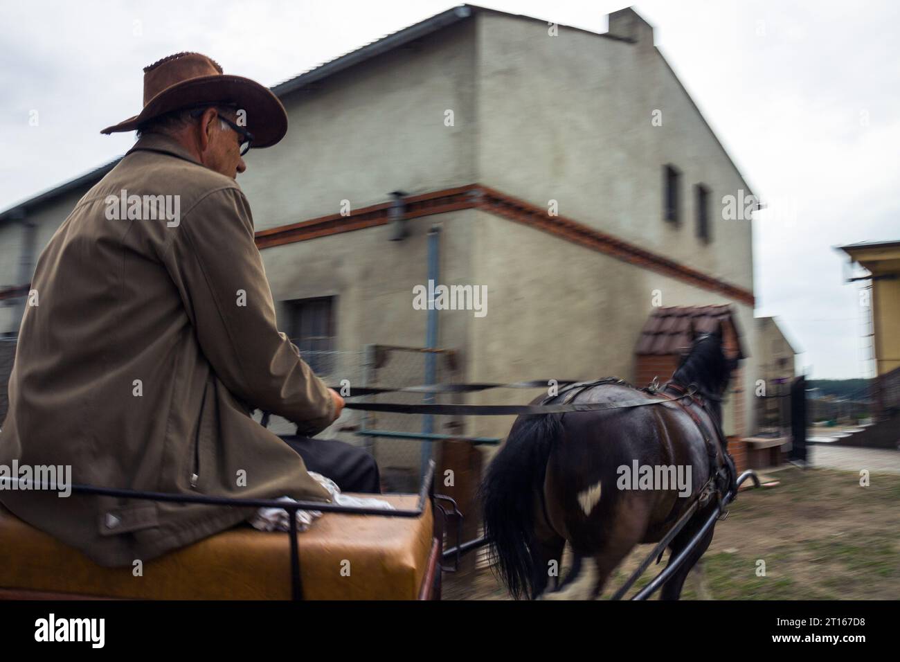 Coachman driving a horsedrawn carriage Stock Photo Alamy