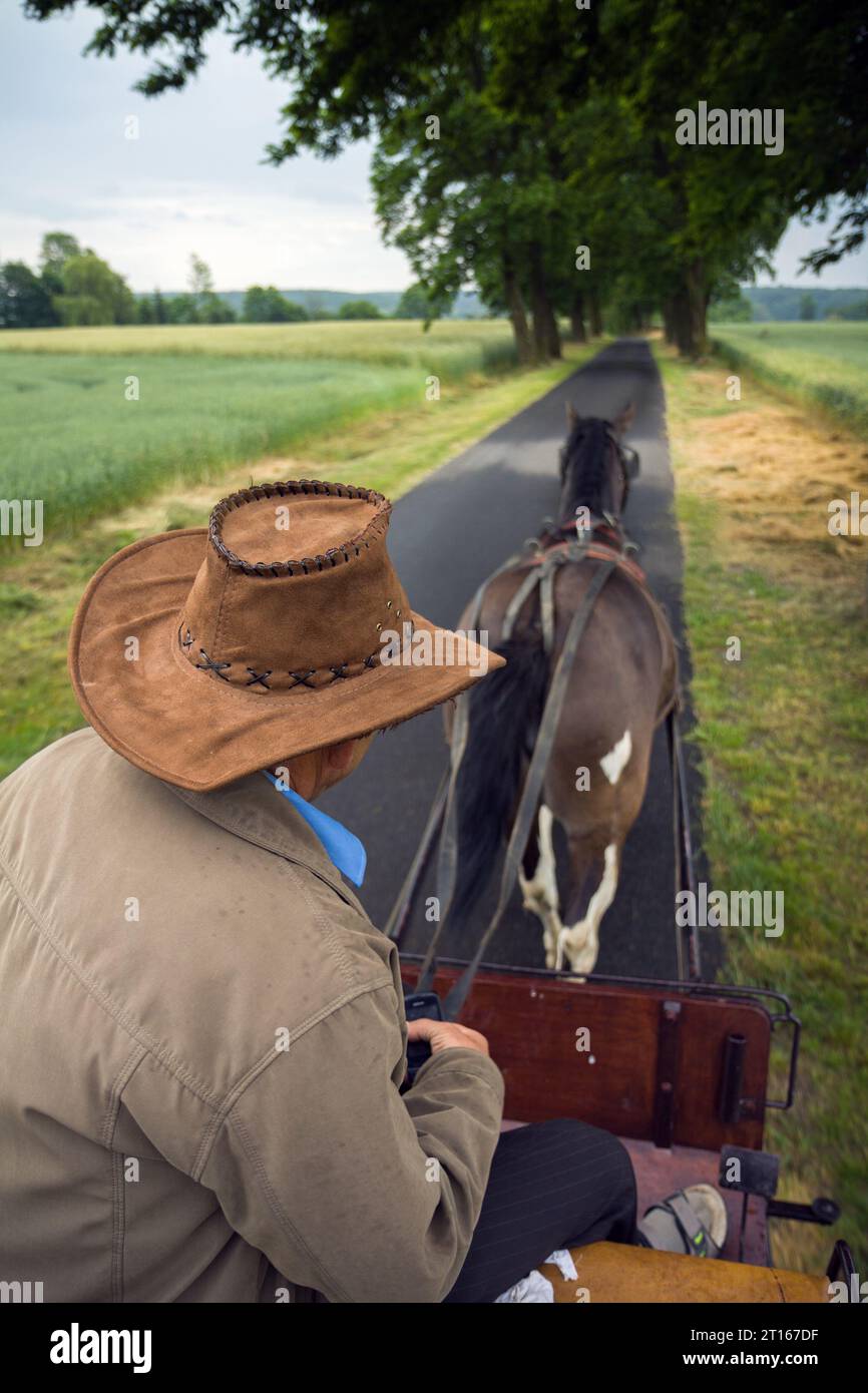 Coachman driving a horsedrawn carriage Stock Photo Alamy