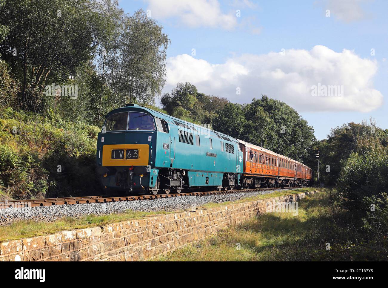 D1015 'Western Champion' passes Tenbury Wall during the SVR diesel gala on 29.9.23. Stock Photo