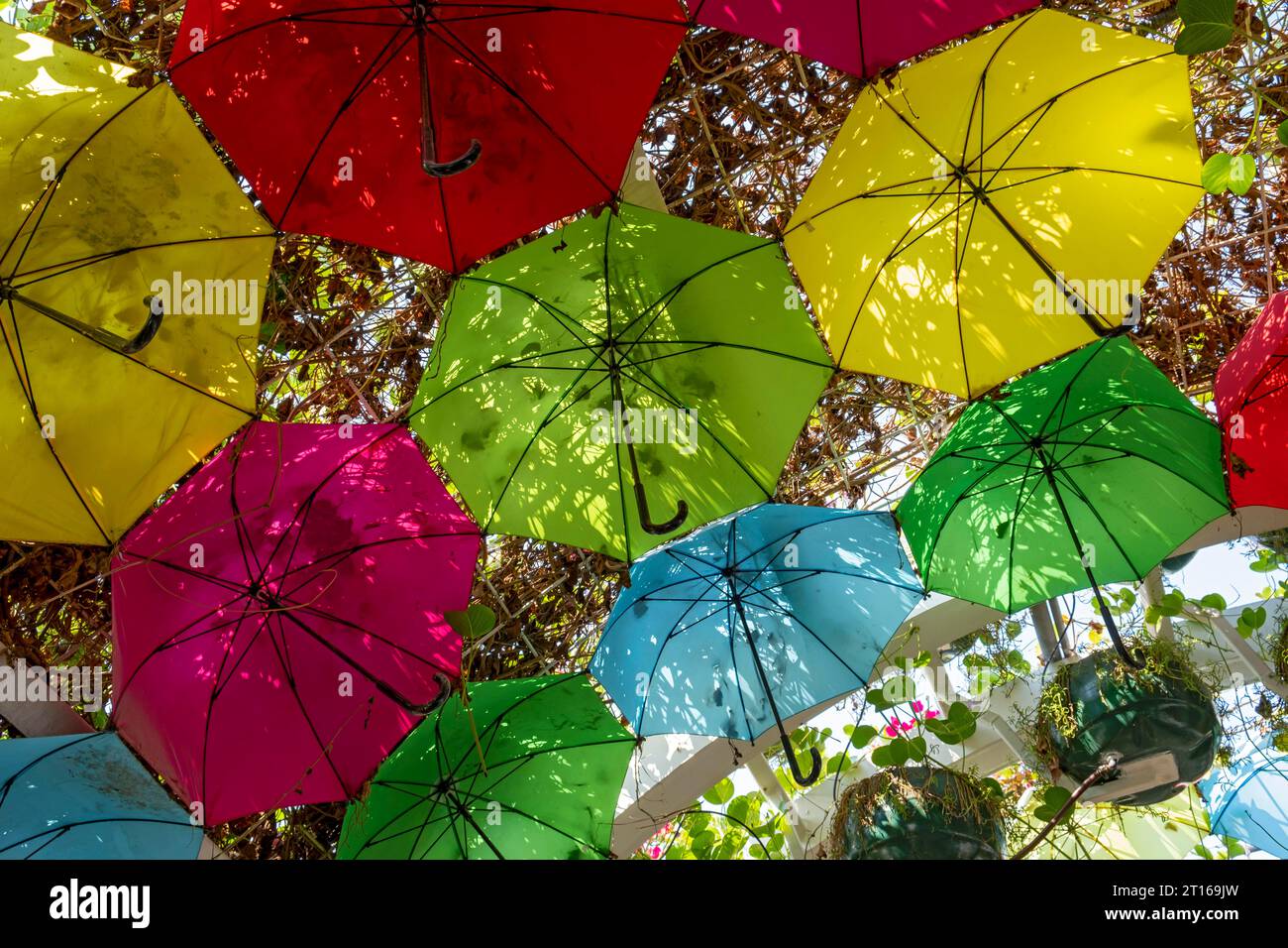 Umbrella Park, Doha, Qatar Stock Photo Alamy