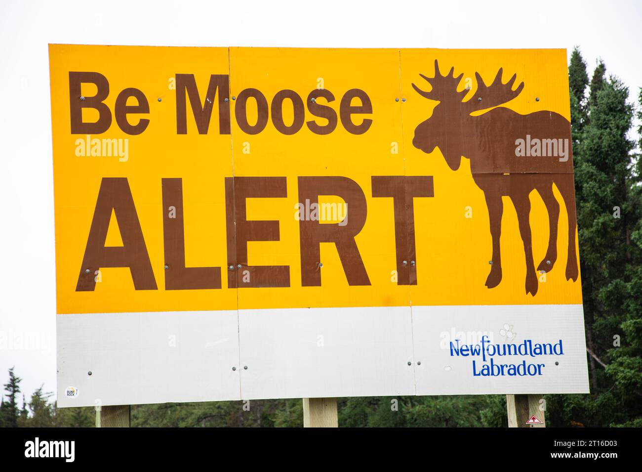 Be Moose Alert sign in Deer Lake, Newfoundland & Labrador, Canada Stock Photo