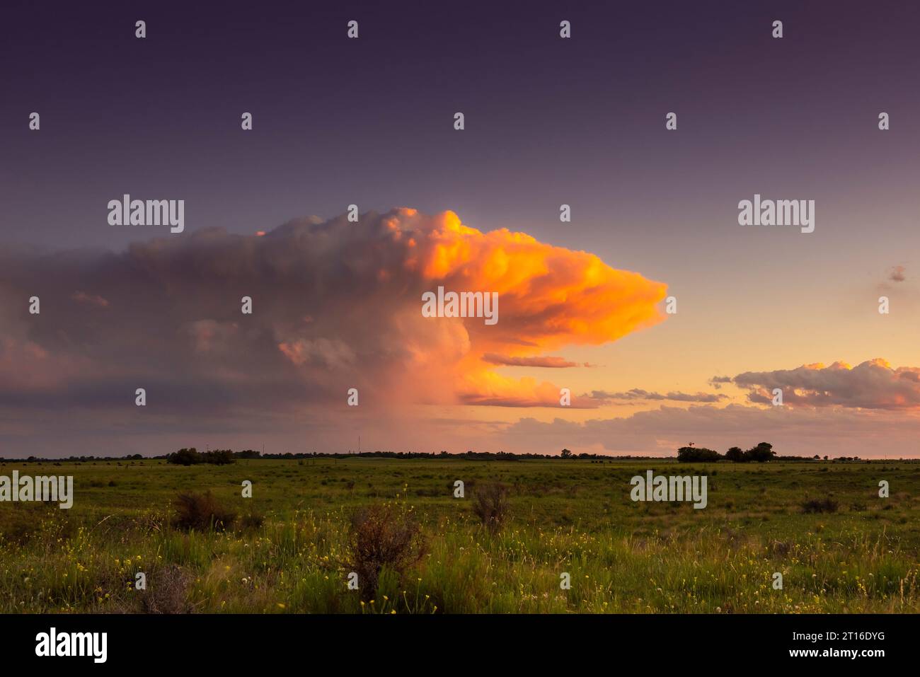 Pampas storm, sunset landscape, La Pampa Province, Patagonia, Argentina. Stock Photo