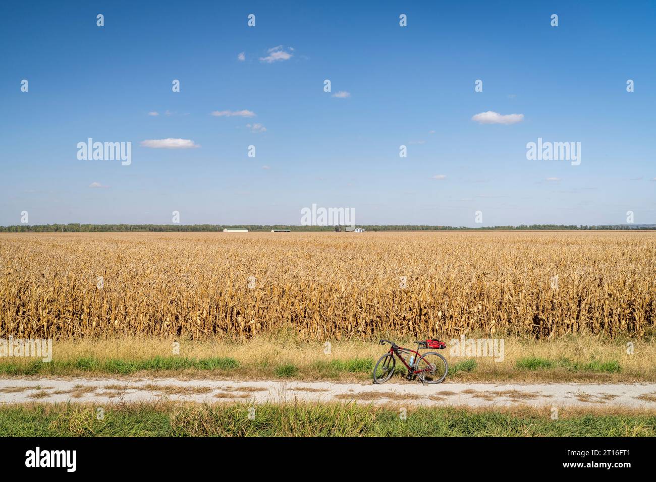 corn field ready for harvest along Steamboat Trace Trail converted from old railroad near Peru, Nebraska, gravel bike Stock Photo