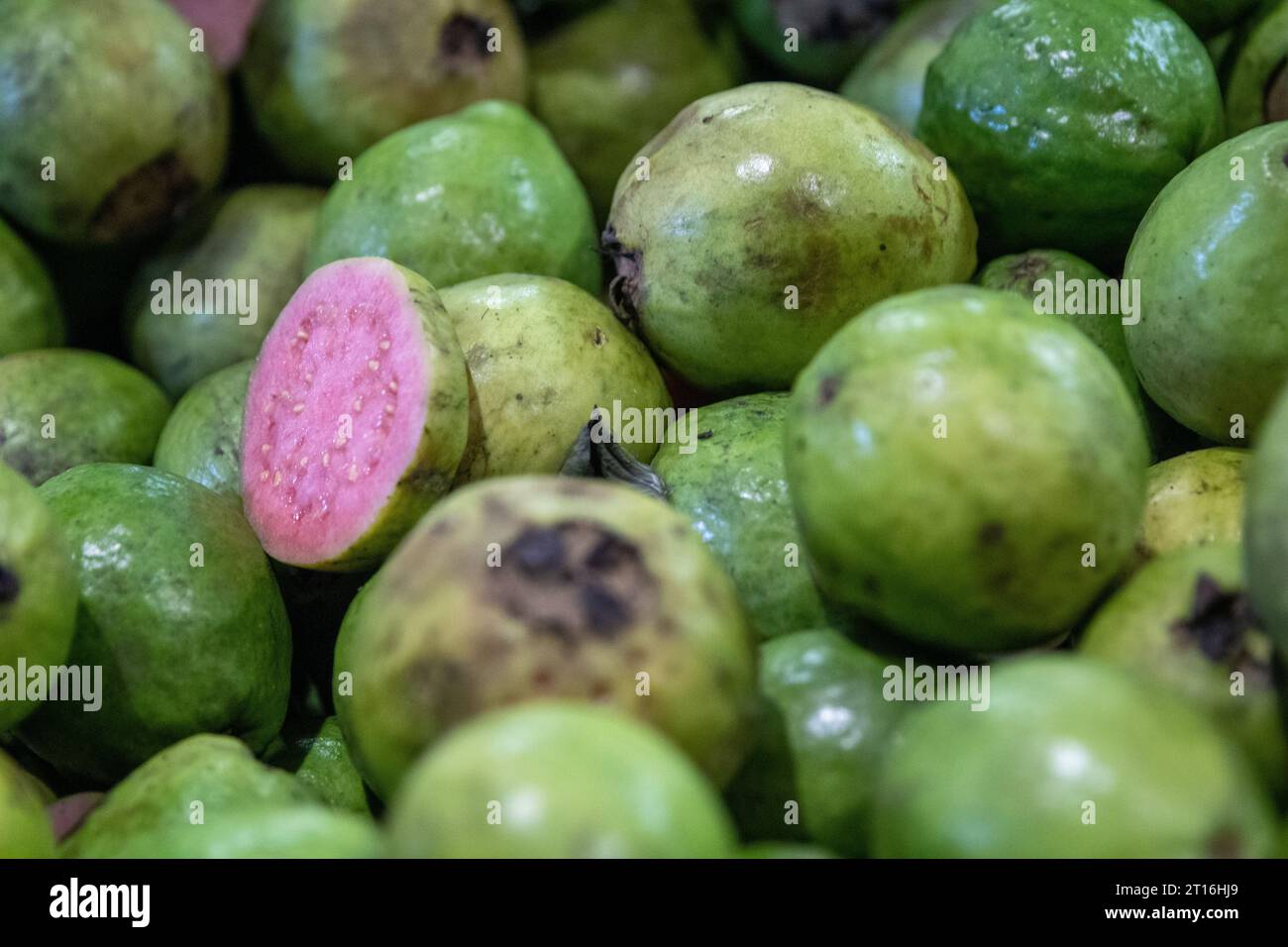 Riped guava fruit hi-res stock photography and images - Alamy