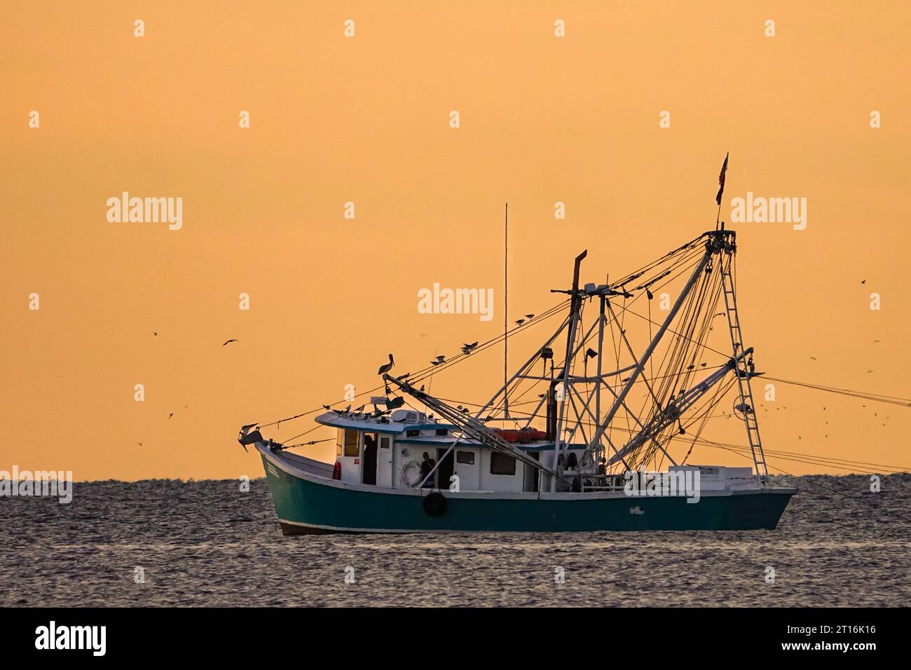Trawler fishing net full hi-res stock photography and images