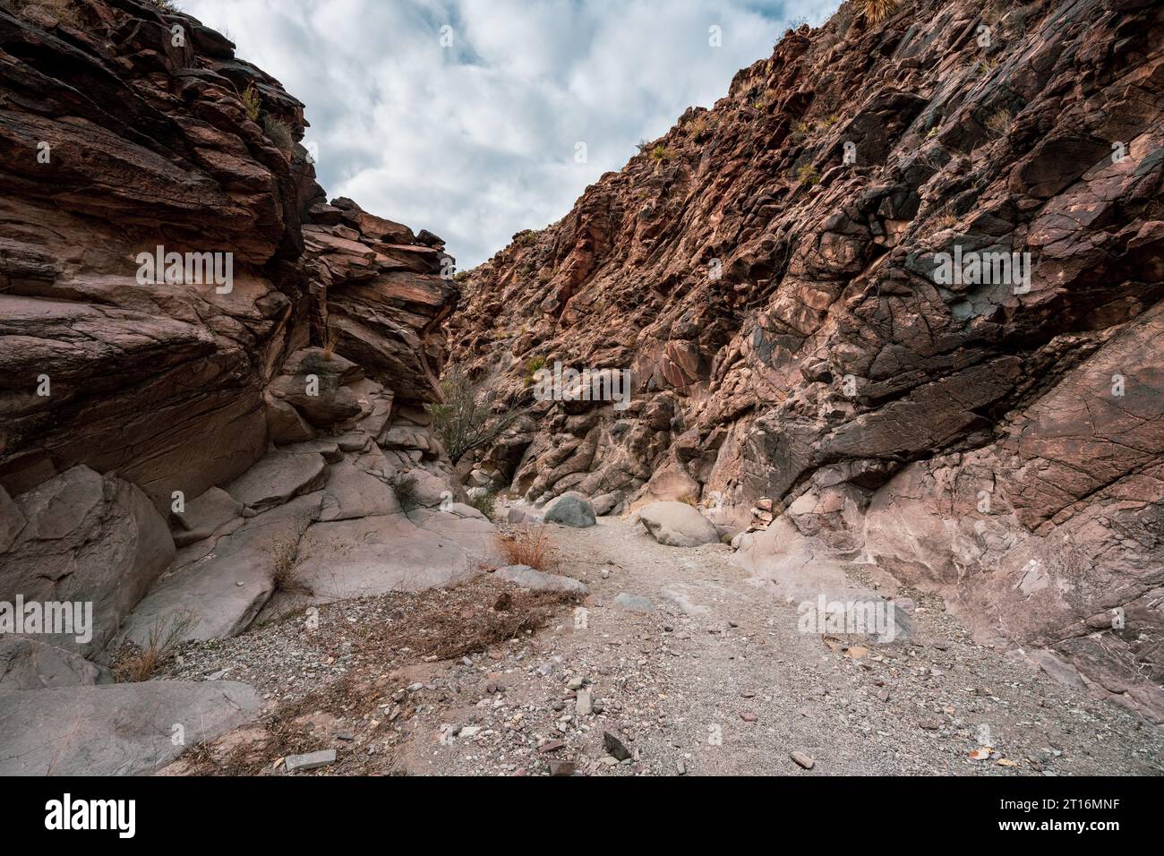 Upper Burro Mesa Pouroff Trail Cuts Through Canyon Walls in Big Bend ...