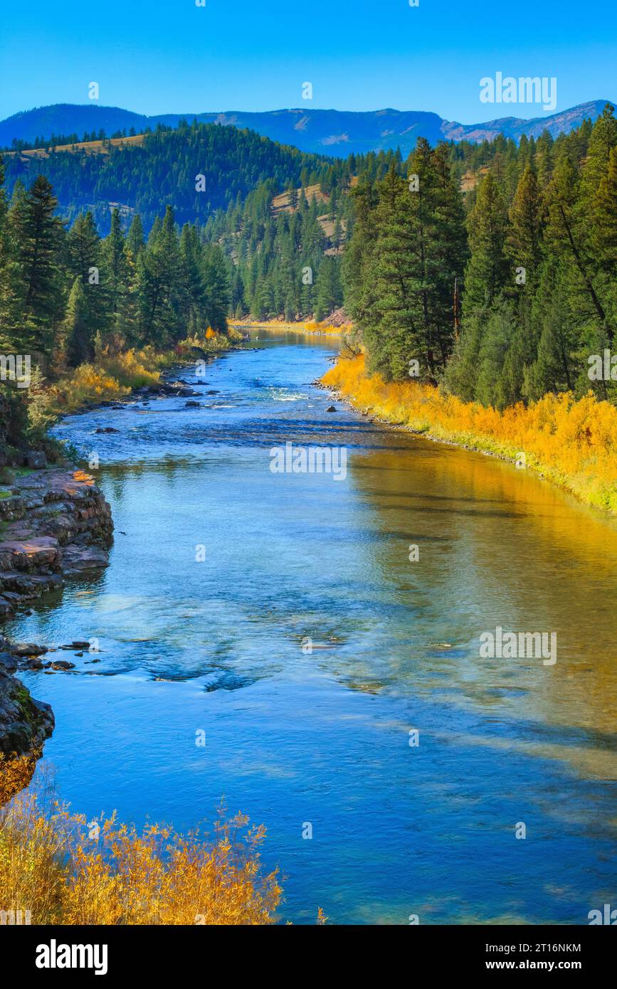 blackfoot river in fall near potomac, montana Stock Photo - Alamy