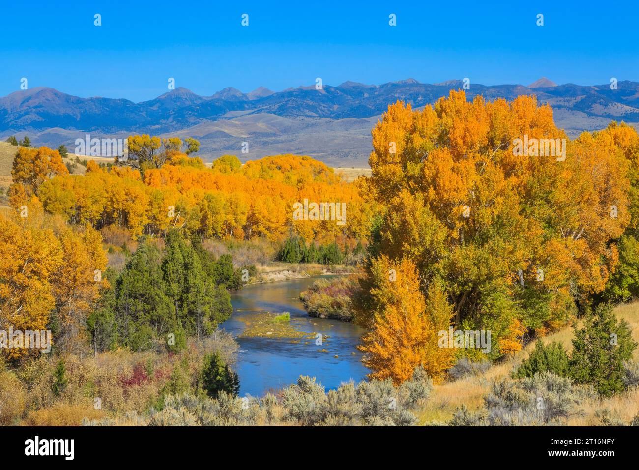 fall colors along the ruby river and distant tobacco root mountains near alder, montana Stock Photo