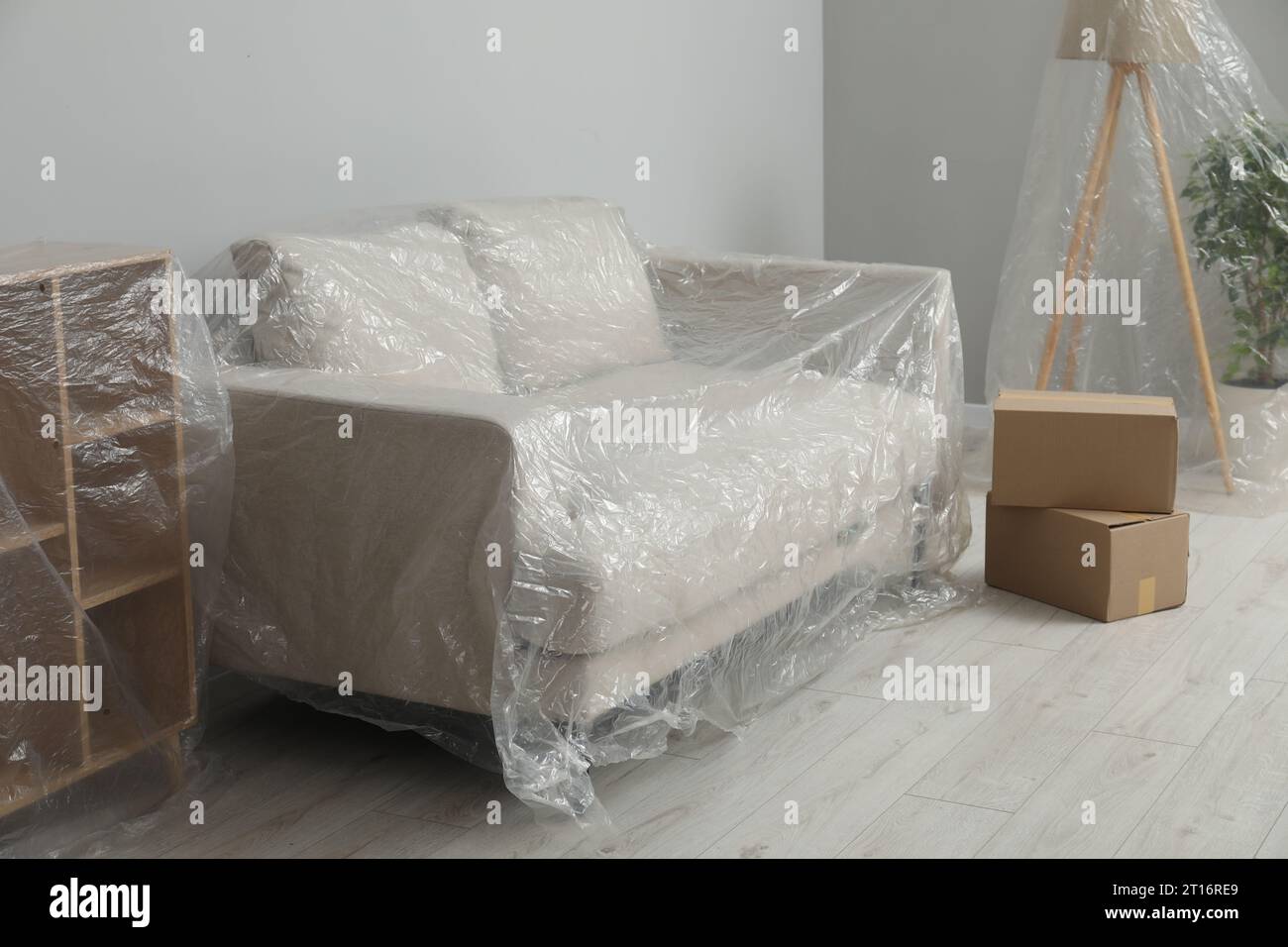Modern furniture, houseplant covered with plastic film and boxes near light grey wall indoors Stock Photo