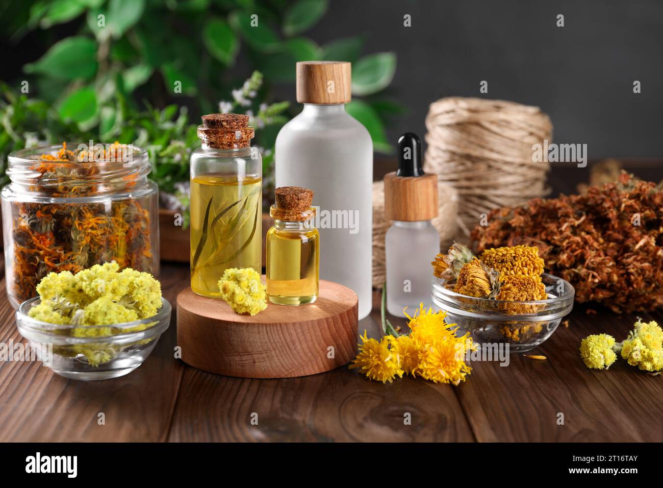 Bottles of essential oils and different herbs on wooden table Stock Photo