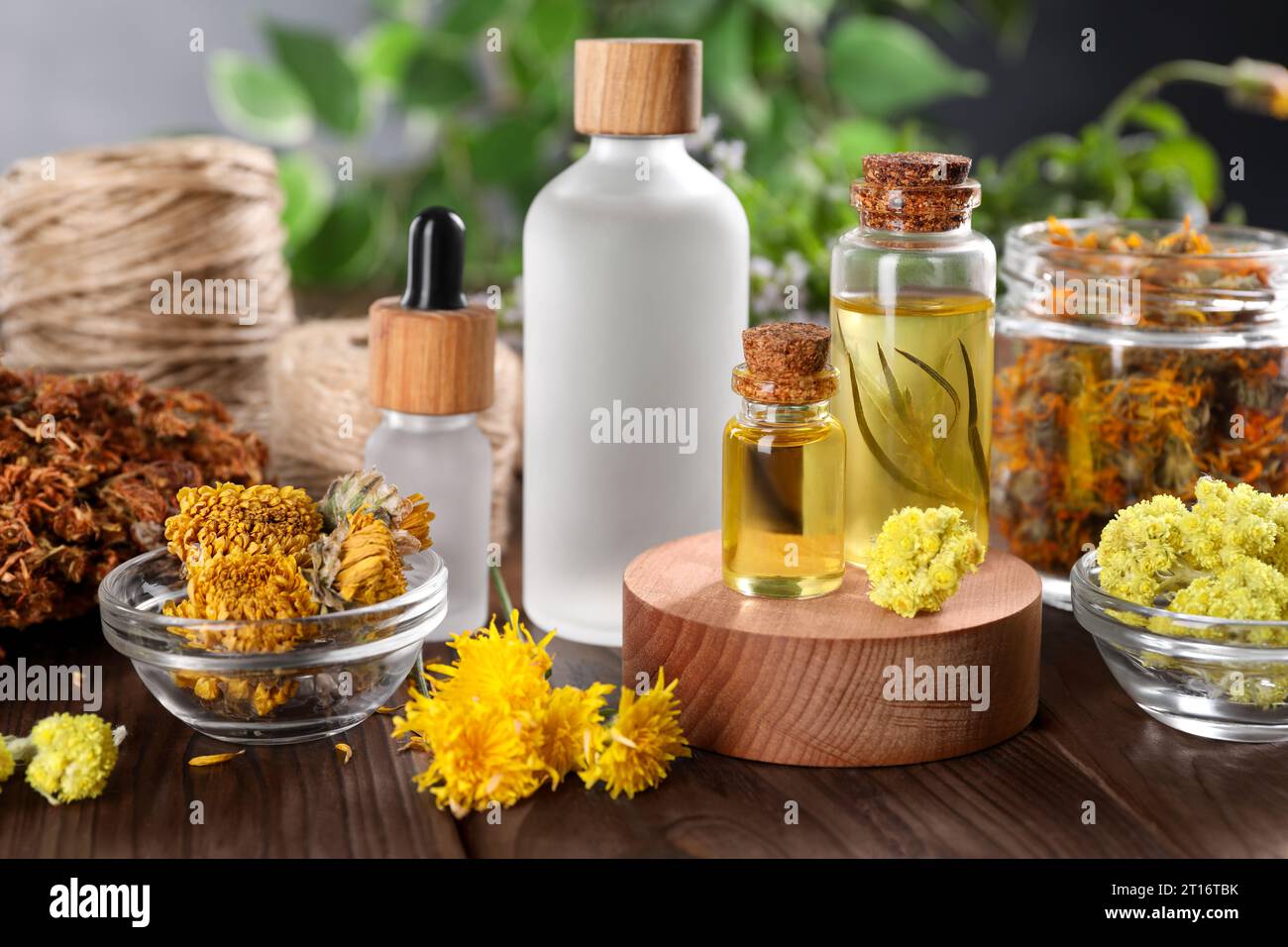 Bottles of essential oils and different herbs on wooden table Stock Photo