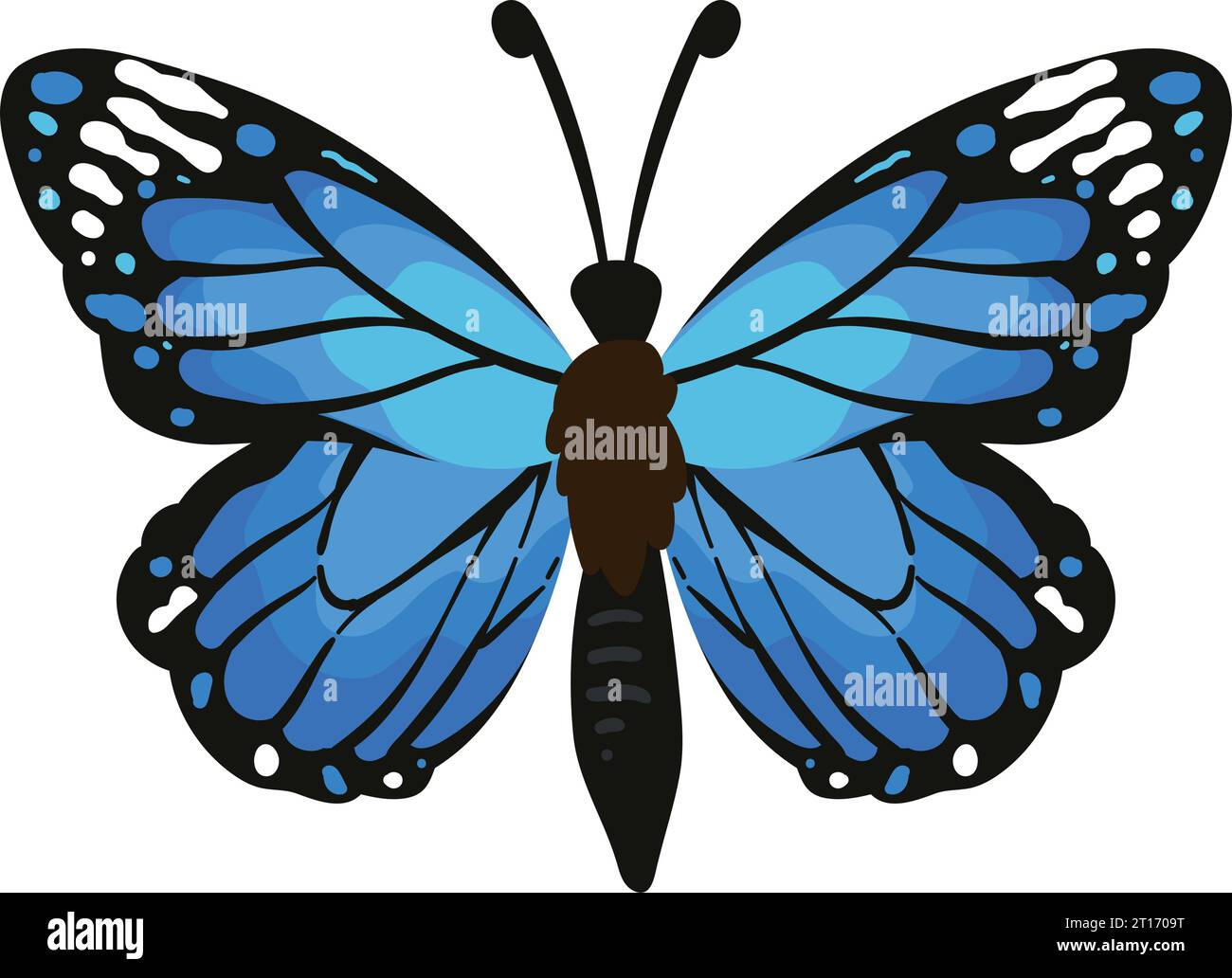 butterfly insect isolated Stock Vector Image & Art - Alamy