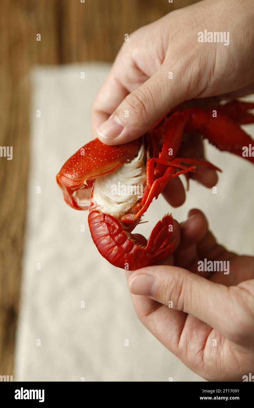 cleaning crawfish white gills ,cleaning crayfish steps，washed in clean water Stock Photo