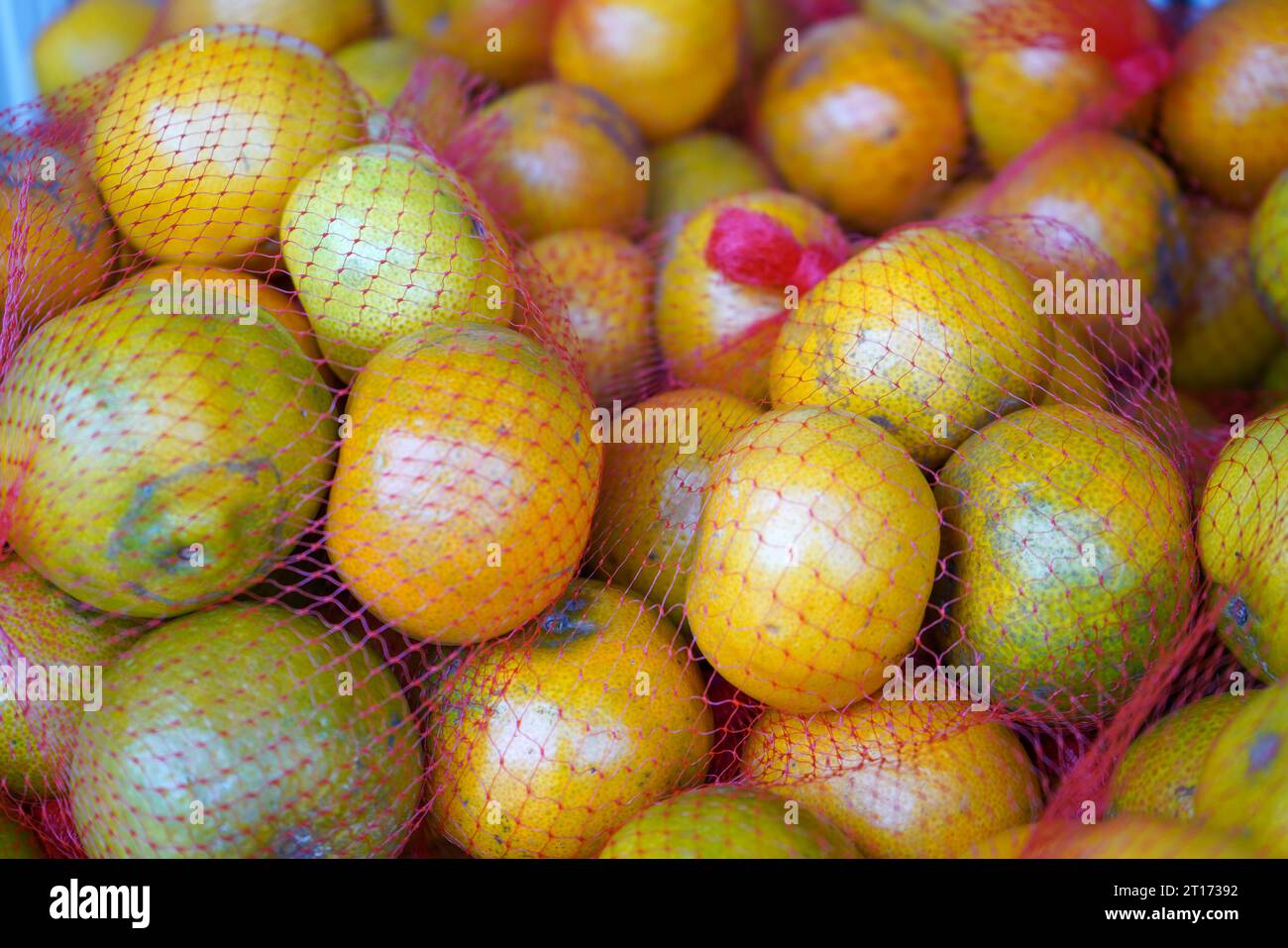 An Orange Is A Type Of Citrus Fruit That People Often Eat Oranges Are An Orange Is A Type Of Citrus Fruit That People Often Eat Oranges Are