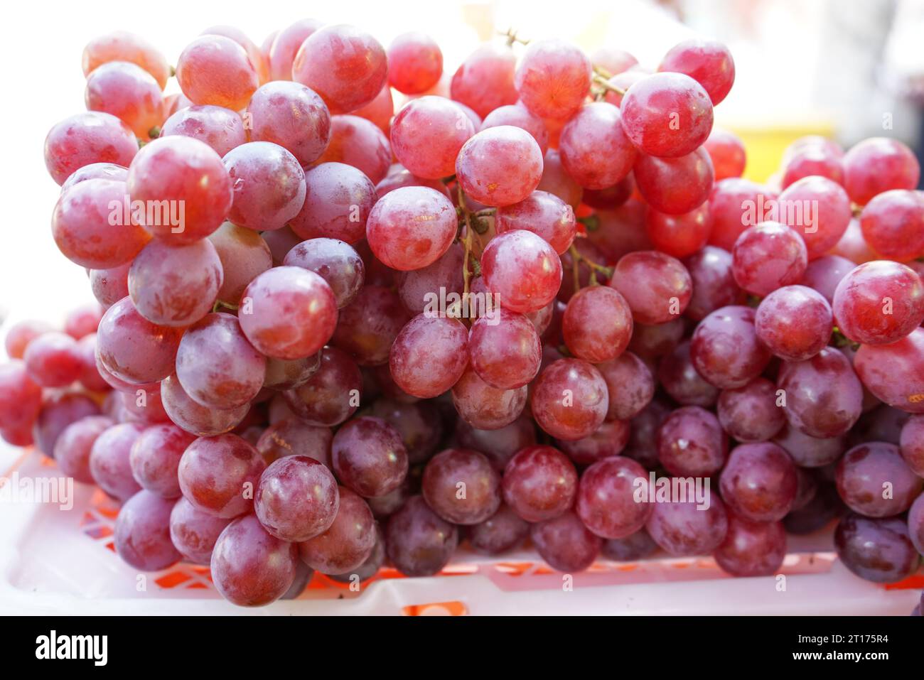 A grape is a fruit, botanically a berry, of the deciduous woody vines