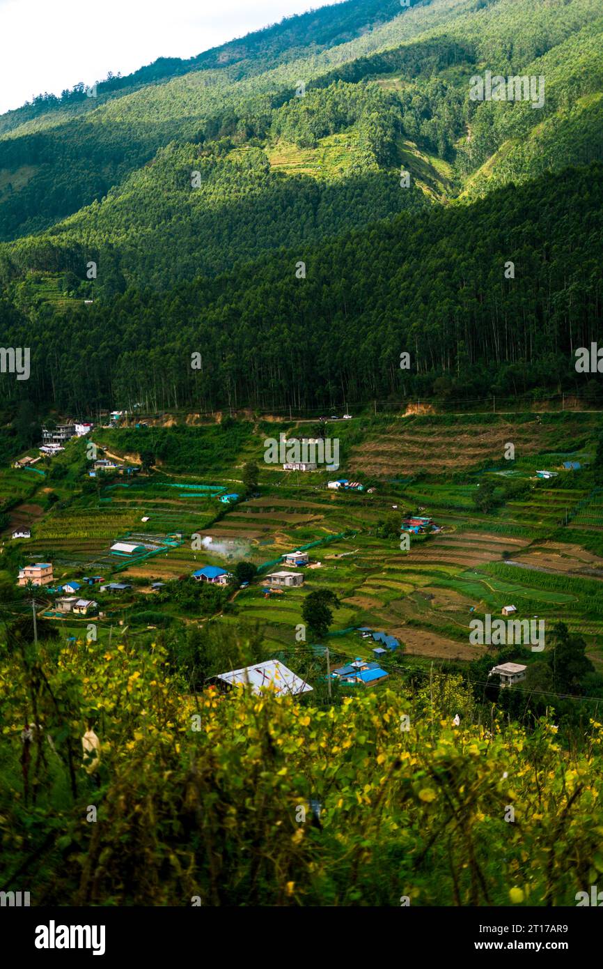 Terrace farming hi-res stock photography and images - Alamy