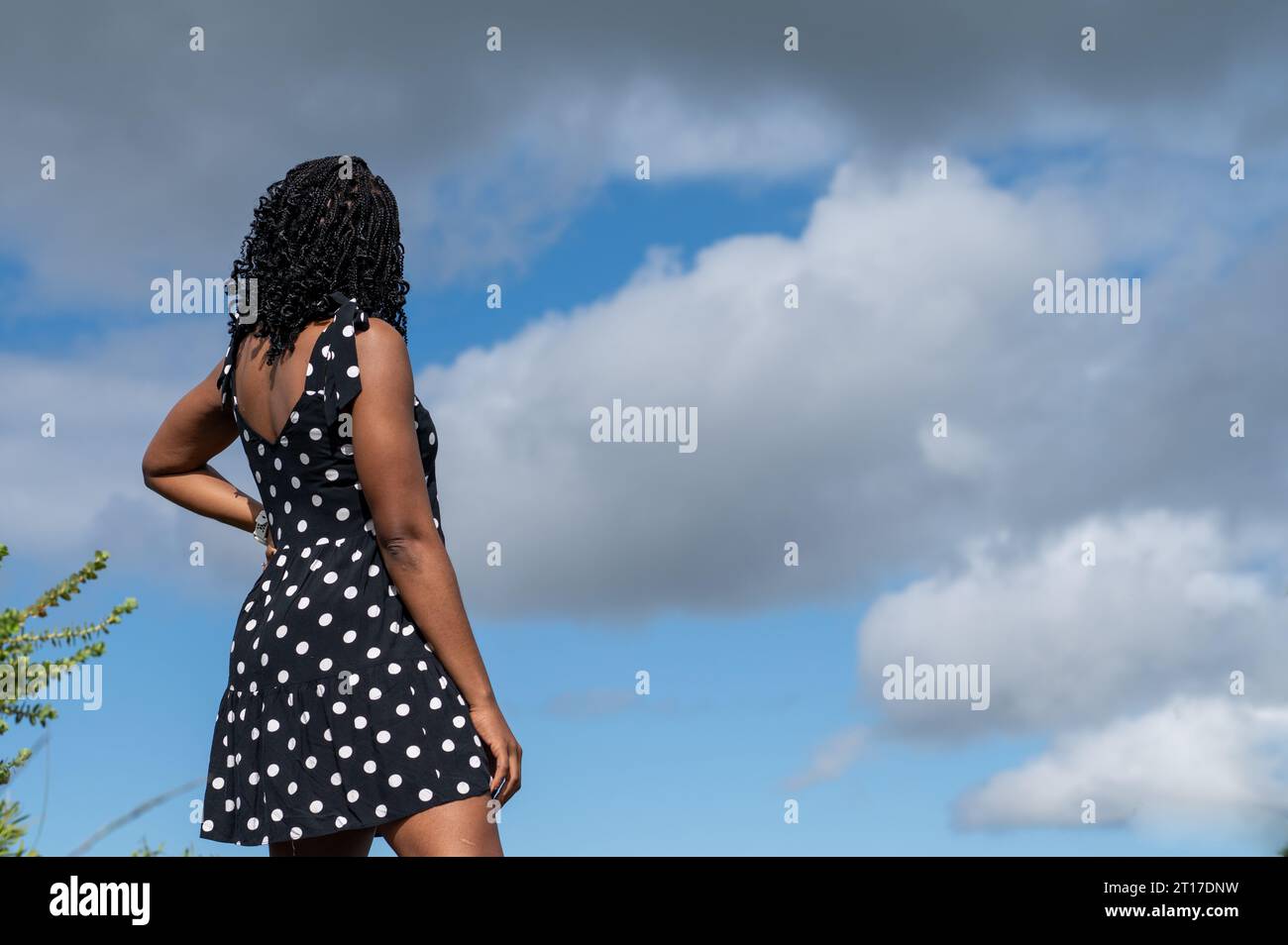 Beautiful young black woman braids hi-res stock photography and images ...