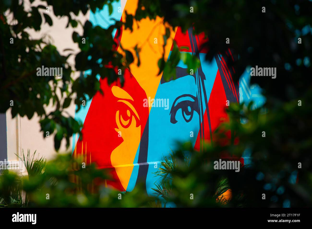 Colourful wall mural of a woman's eye painted by Shepard Fairey,  peep through the tree leaves and branches. Chinatown, Singapore Stock Photo